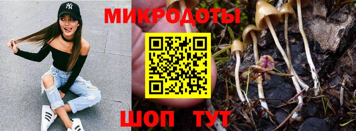Серпухов  Псилоцибиновые грибы Psilocybine cubensis  Галлюциногенные грибы прущие грибы  Вход с VPN 